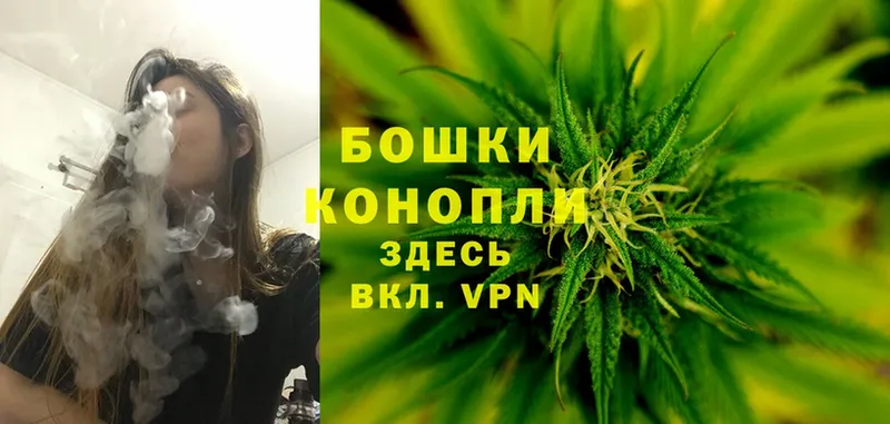 Шишки марихуана THC 21%  Бавлы 